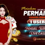 Coktogel | Daftar Bandar Togel Terbesar dan Terpercaya | Bandar Togel | Situs Togel Terpercaya | Agen Togel | Togel Online Terpercaya | Toto Online | Bandar Togel Terpercaya | Bandar Togel Terbaik | Bandar Darat Togel Online | Coktogel | Daftar Bandar Togel Terbesar dan Terpercaya | Bandar Togel | Situs Togel Terpercaya | Agen Togel | Togel Online Terpercaya | Toto Online | Bandar Togel Terpercaya | Bandar Togel Terbaik | Bandar Darat Togel Online |