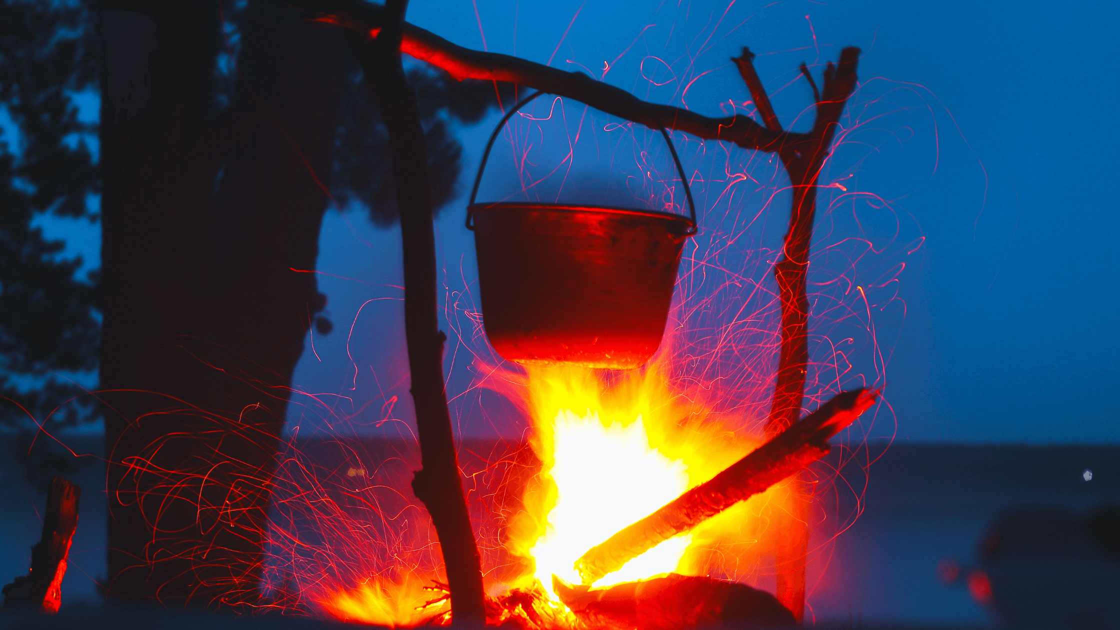 Ultimate Portable Camp Kitchen Essentials